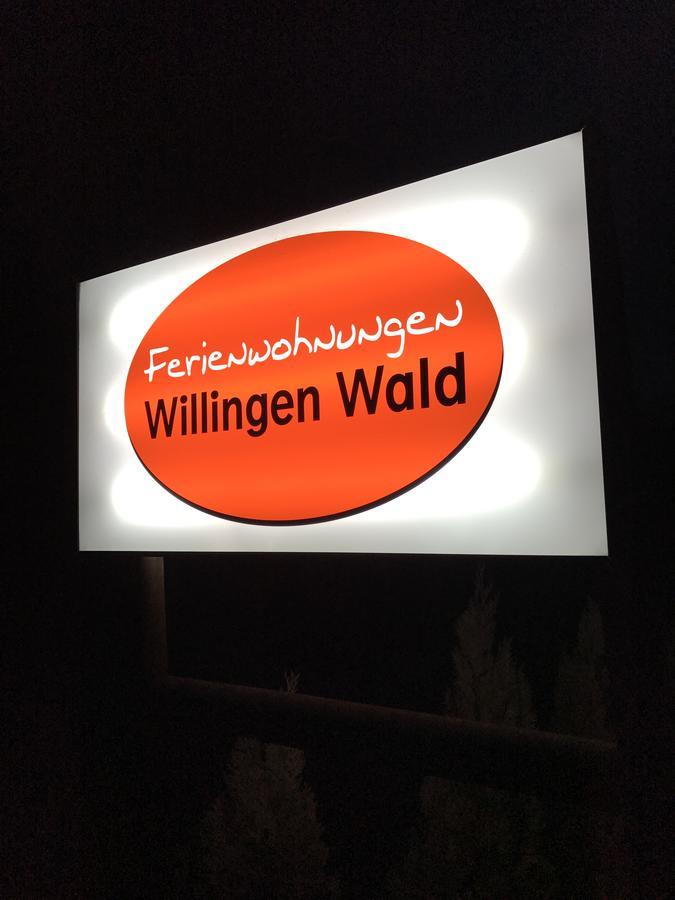 Ferienwohnungen Willingen Wald Exterior foto